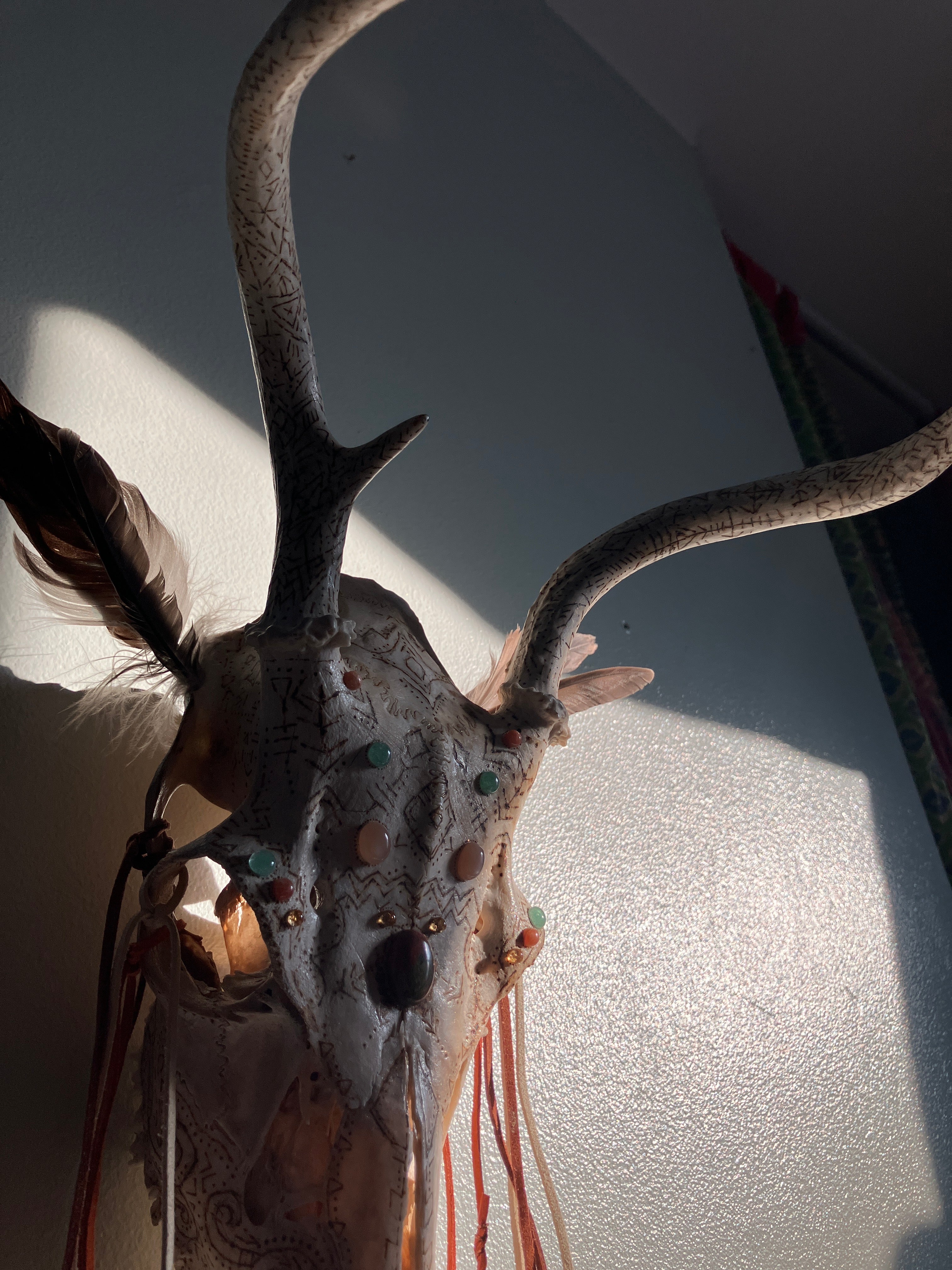 Crystal Sacred Sun Sigil Decorated Deer Skull- Courage, Renewal