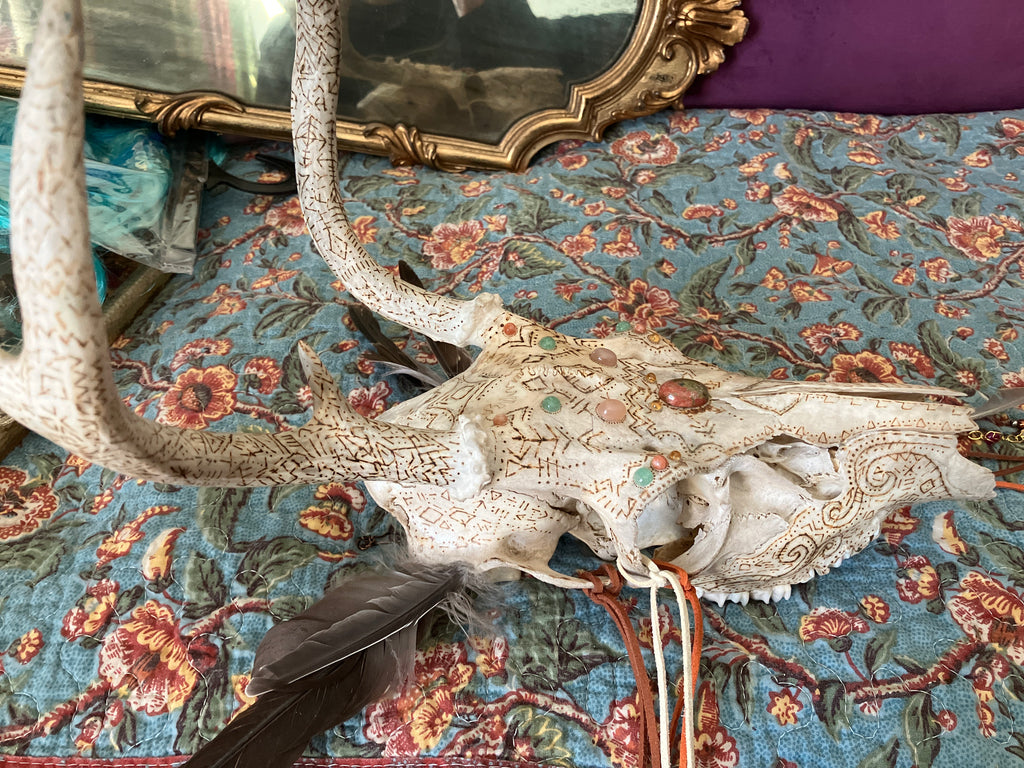 Crystal Sacred Sun Sigil Decorated Deer Skull- Courage, Renewal