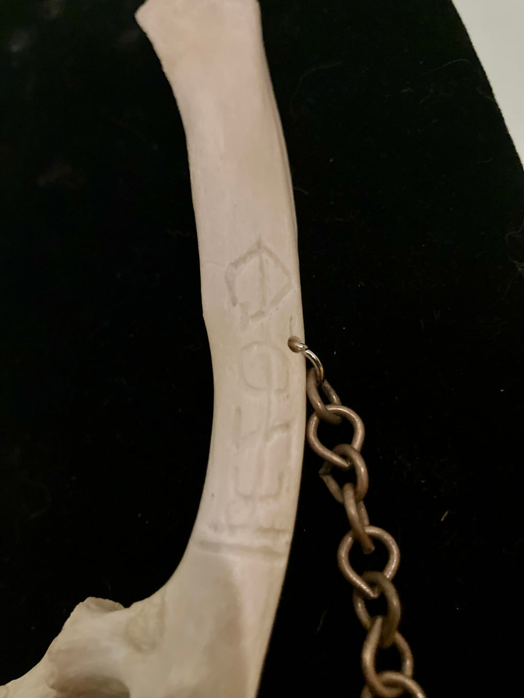 Ceremonial Deer Bone Amulet w/ Moss Agate, Green Kyanite & Carved Sigils for Earth Energy- Connect to Mother Gaia