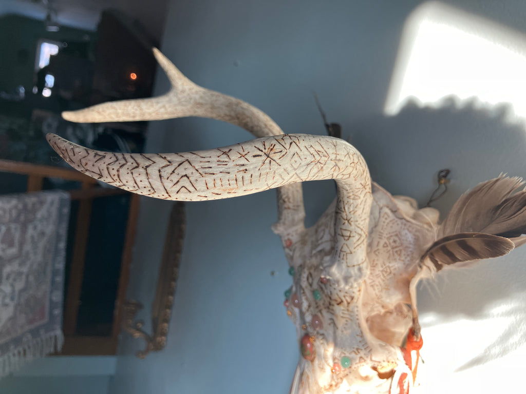 Crystal Sacred Sun Sigil Decorated Deer Skull- Courage, Renewal