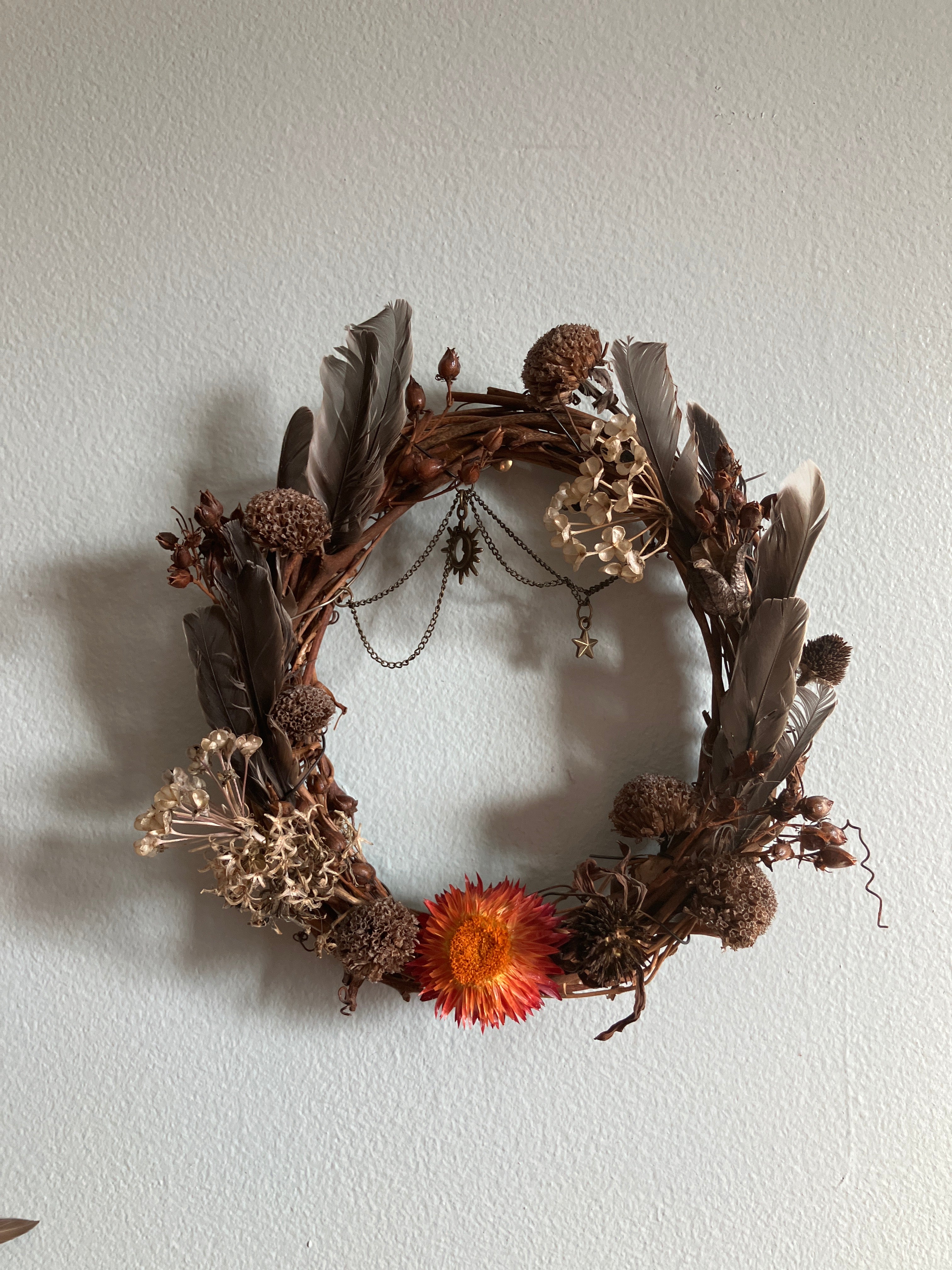 Robin Feather Foraged Strawflower Floral Charm Wreath- 6”