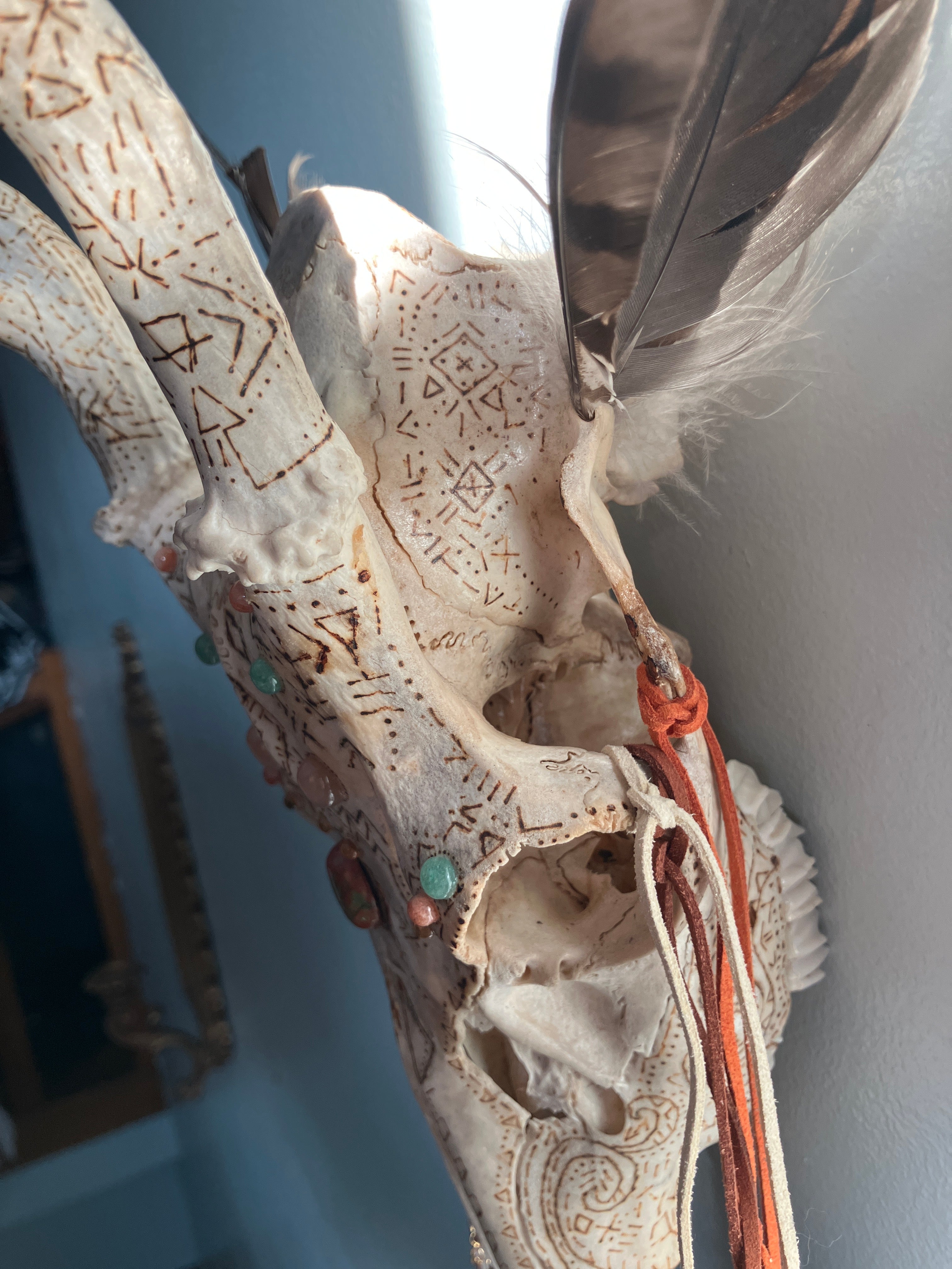 Crystal Sacred Sun Sigil Decorated Deer Skull- Courage, Renewal