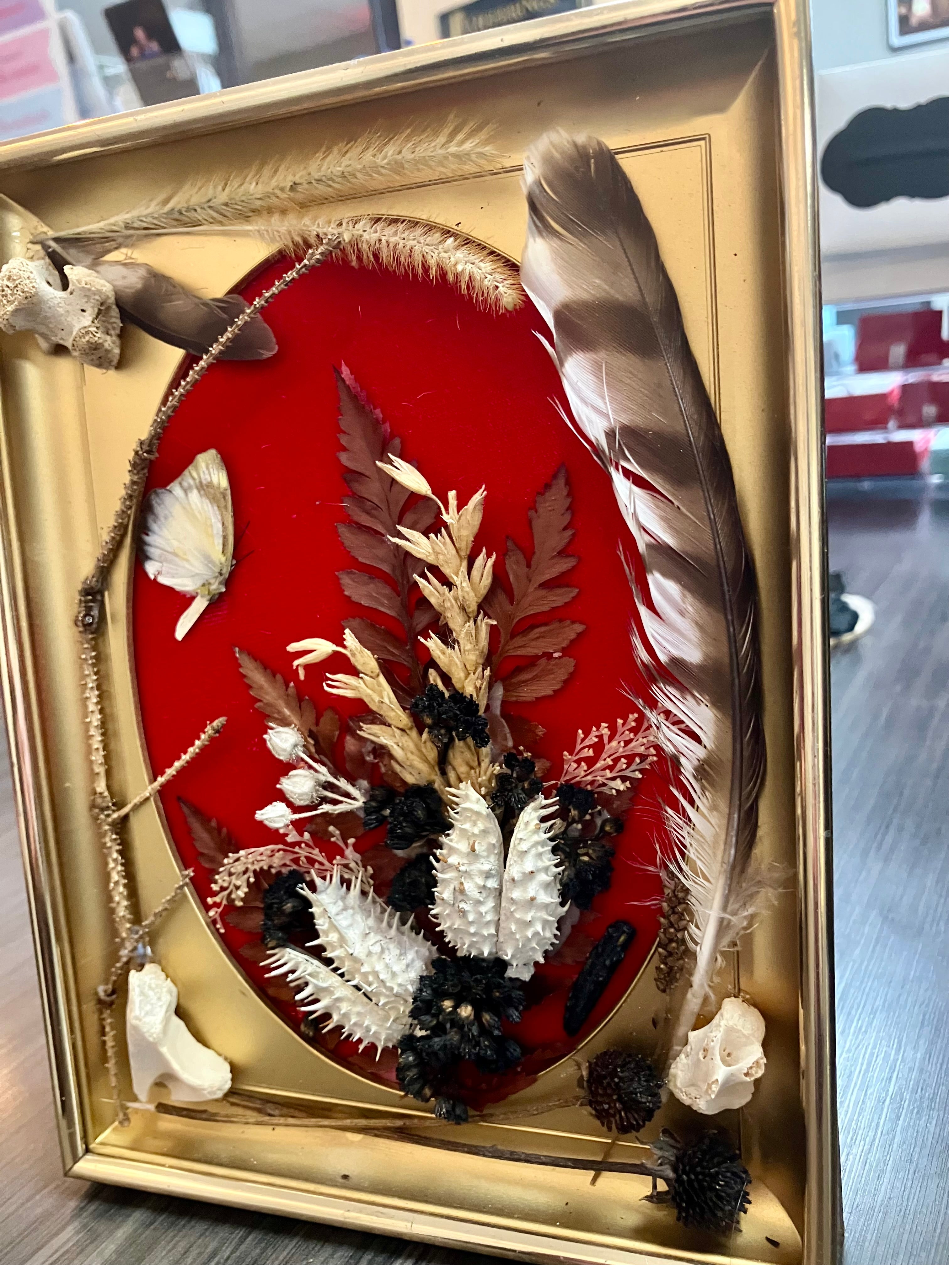 Revamped Vintage Shadowbox w/ Leigongmo Meterorite, Raccoon Bones & Hawk Feathers
