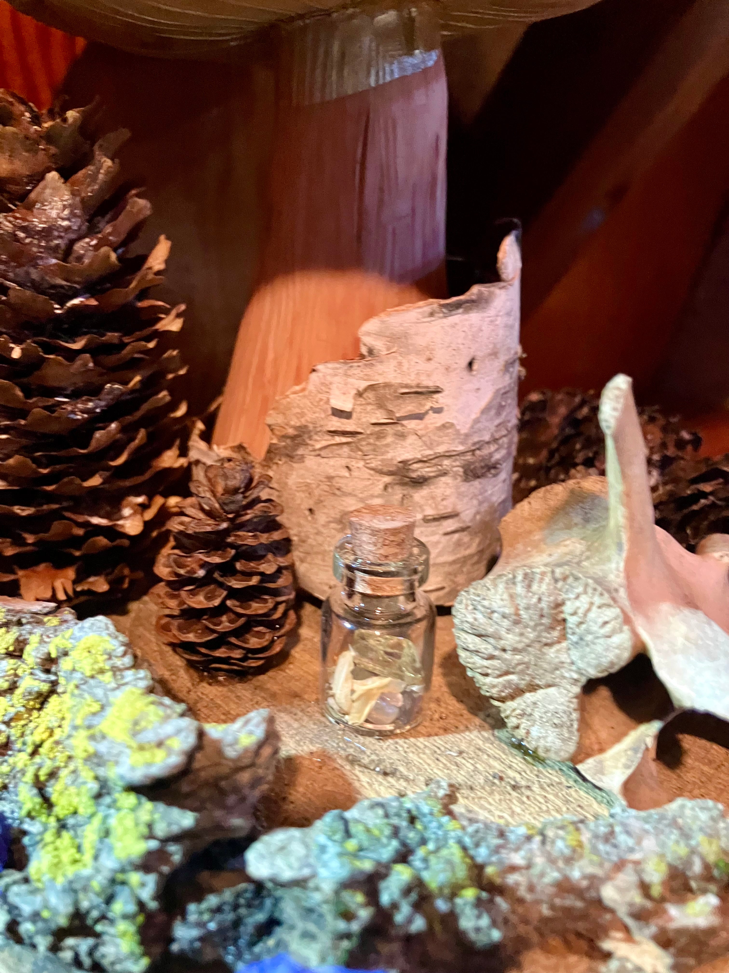 White Oak Mandala Mushroom Offering Altar w/ Deer Vertebrae, Birch & Yellow Apatite- Animal Magick