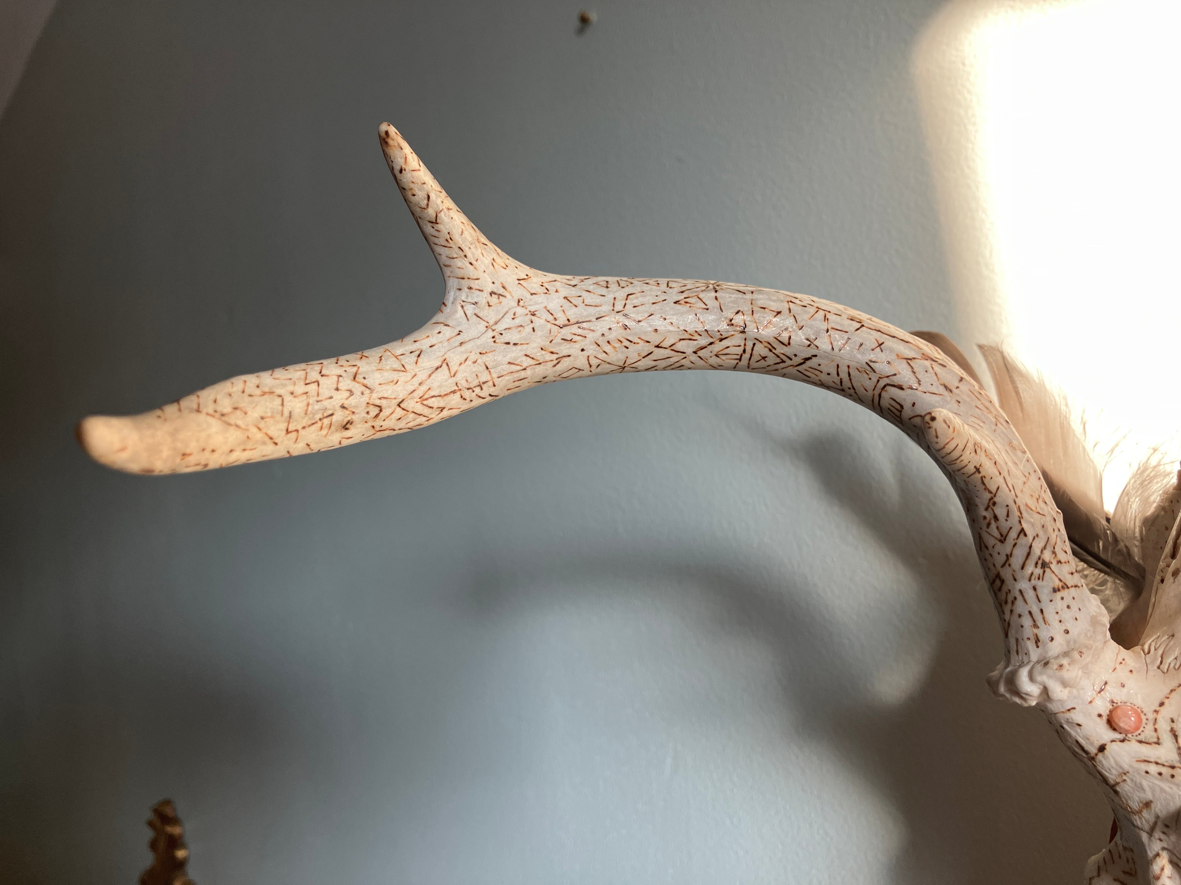 Crystal Sacred Sun Sigil Decorated Deer Skull- Courage, Renewal