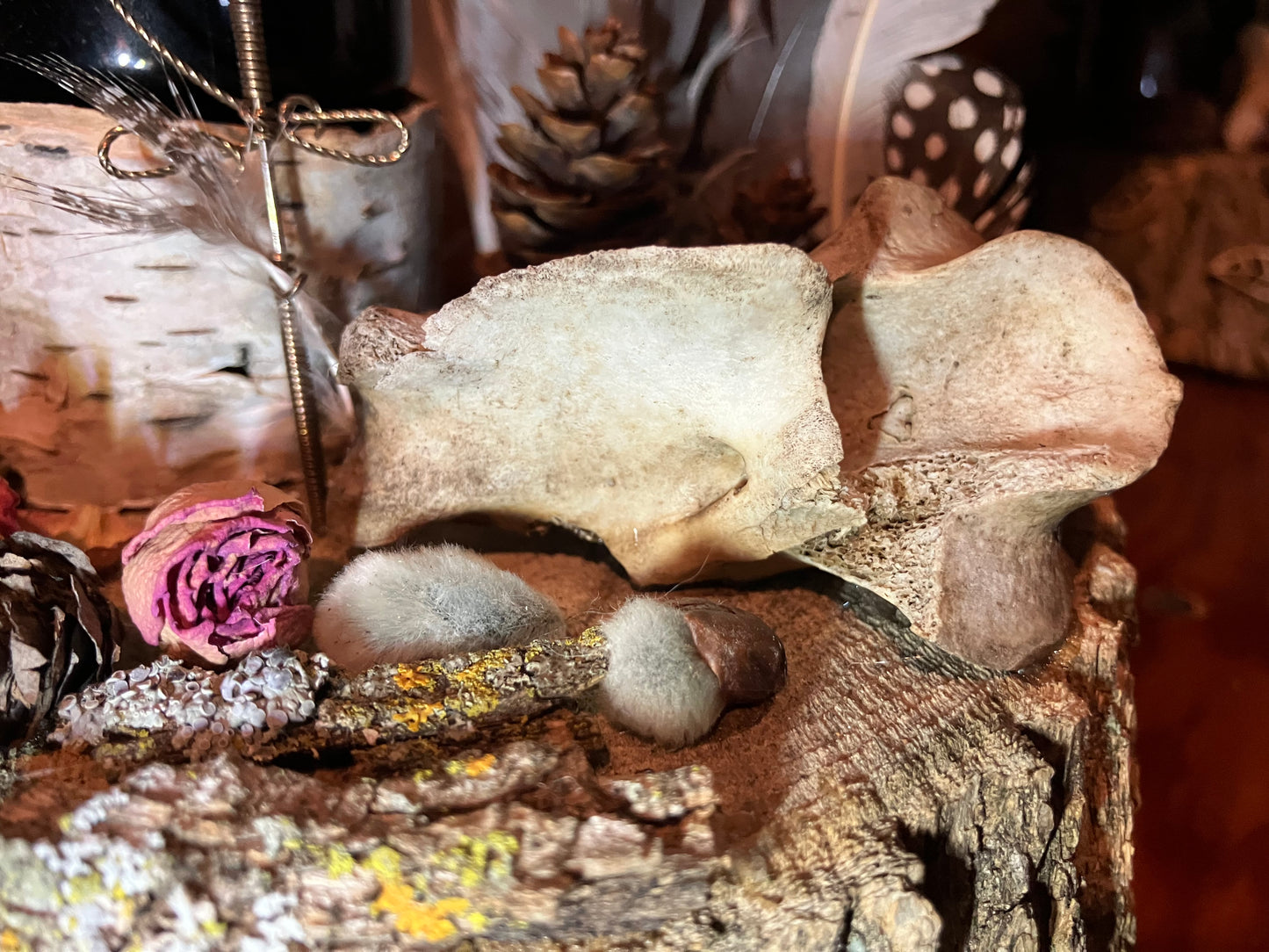 White Oak Butterfly & Sword Offering Altar w/ Deer Vertebrae, Rosebuds, Birch and Obsidian Bowl- Animal Magick- Release Spiritual Blockages-