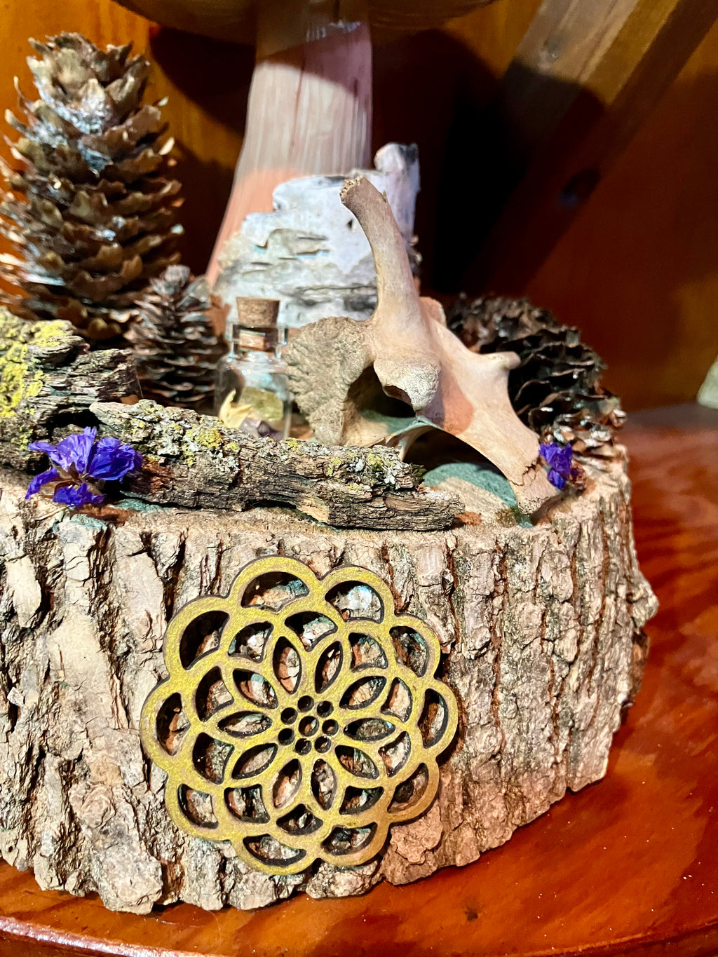 White Oak Mandala Mushroom Offering Altar w/ Deer Vertebrae, Birch & Yellow Apatite- Animal Magick