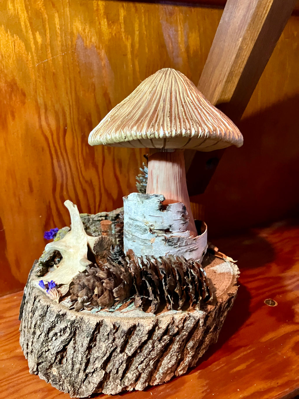 White Oak Mandala Mushroom Offering Altar w/ Deer Vertebrae, Birch & Yellow Apatite- Animal Magick