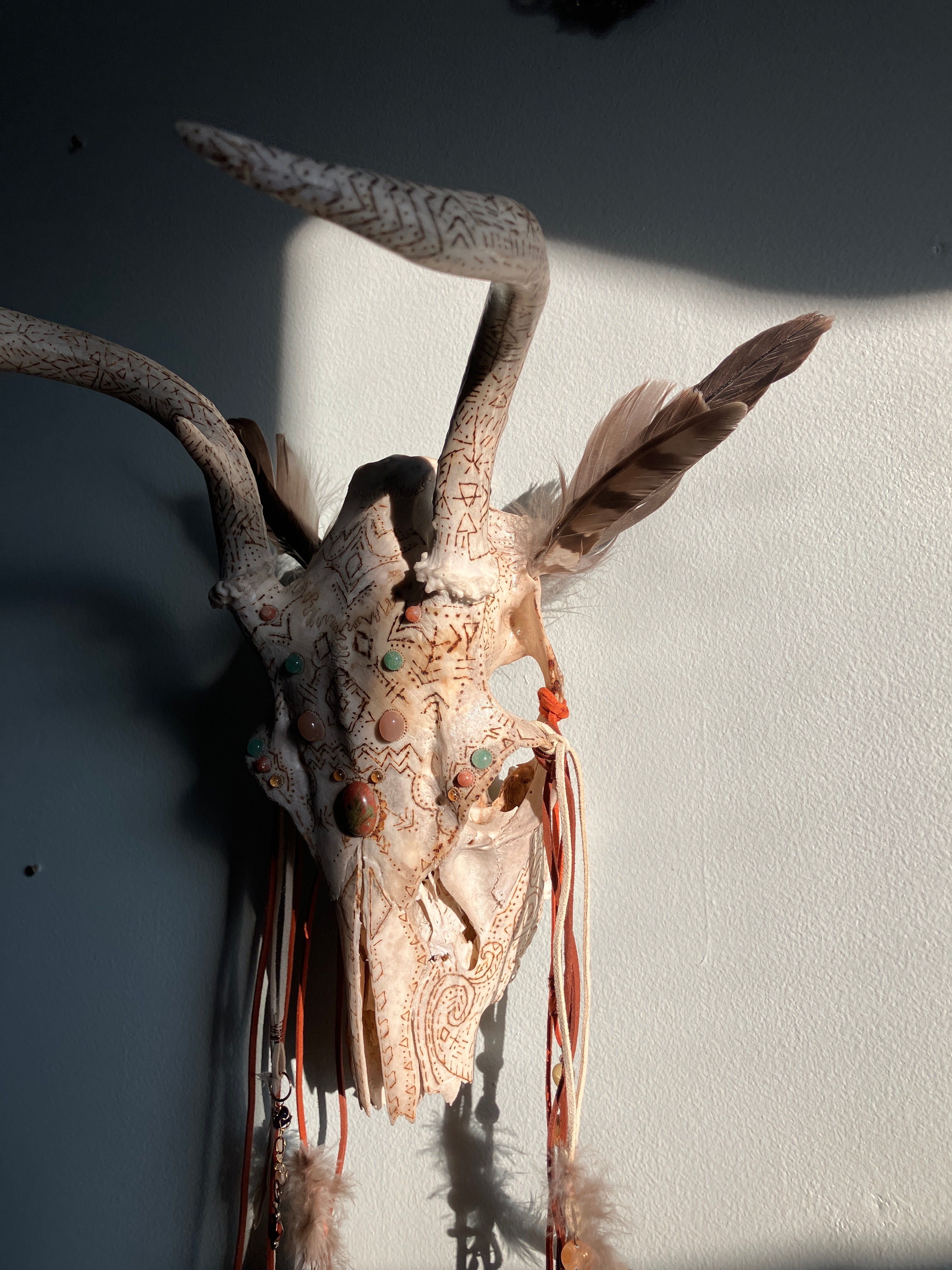 Crystal Sacred Sun Sigil Decorated Deer Skull- Courage, Renewal