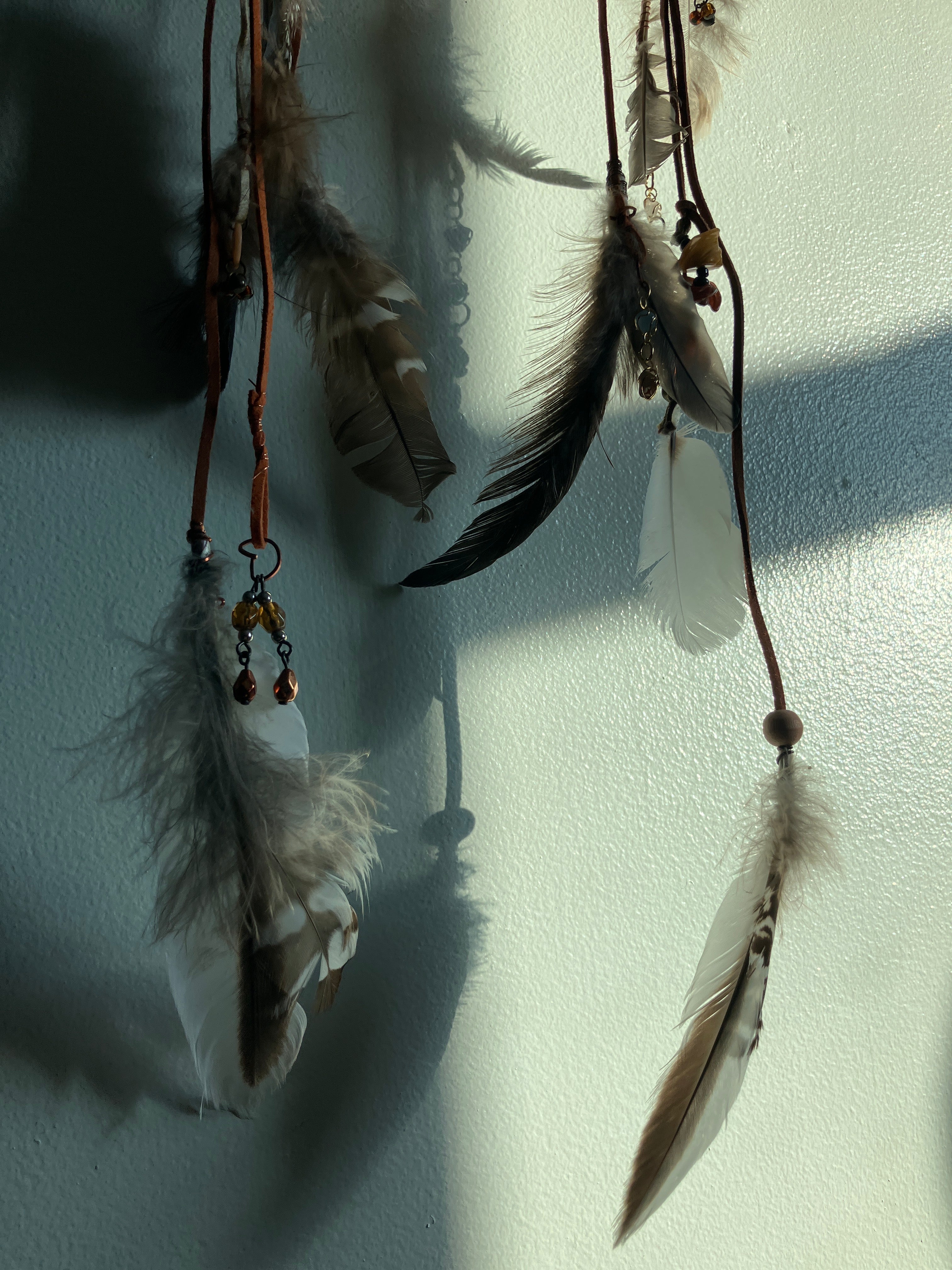 Crystal Sacred Sun Sigil Decorated Deer Skull- Courage, Renewal