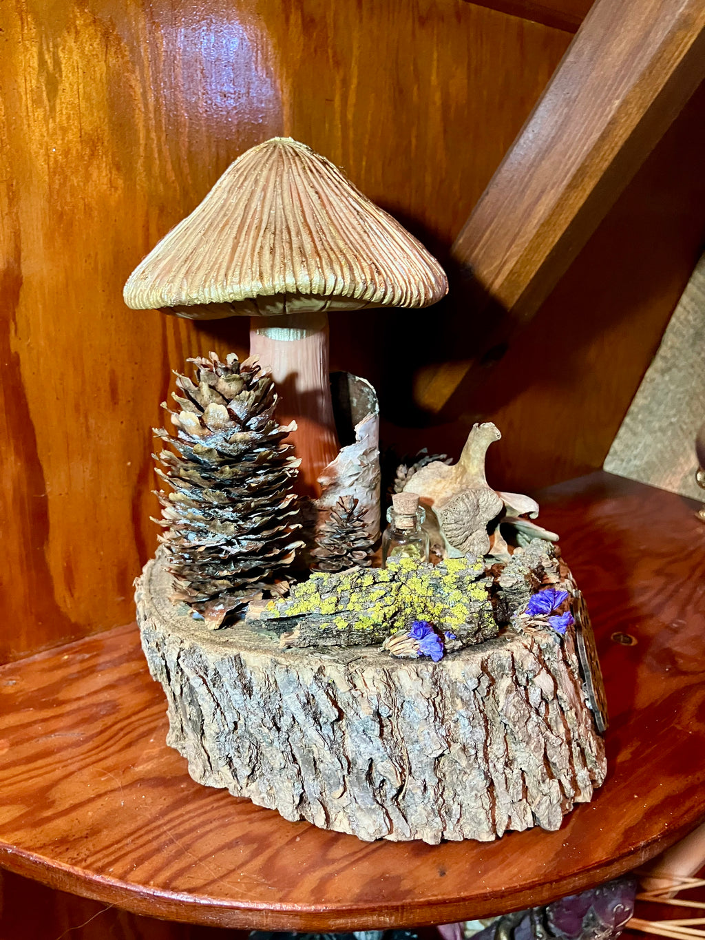 White Oak Mandala Mushroom Offering Altar w/ Deer Vertebrae, Birch & Yellow Apatite- Animal Magick