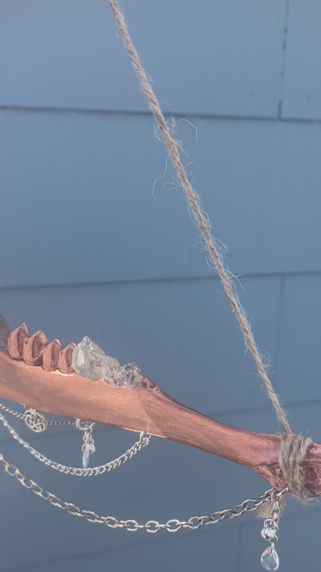 Crystal Deer Jawbone Wall Hanging Altar Ornament- Herkimer Diamond, Mt. Antero Topaz